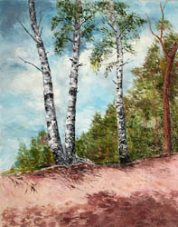 1106.Birches on a Slope.jpg
